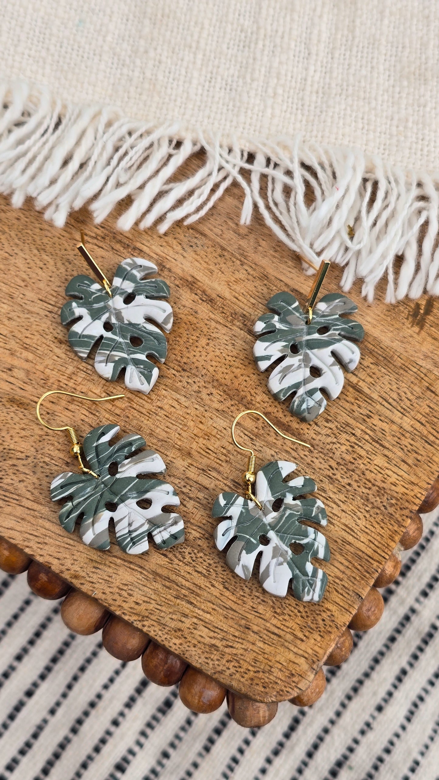 Thai Constellation Monstera Drops